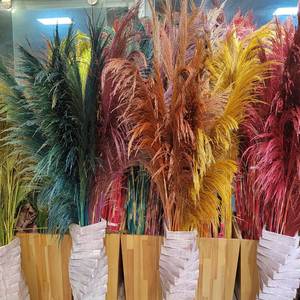 Decoración Boho Neutral para el Hogar, Ramo de Hierba de Pampas Seca y Esponjosa, Decoración Alta para Florero de Piso, Decoración Floral para Bodas, Paredes y Mesas - Product Image 2