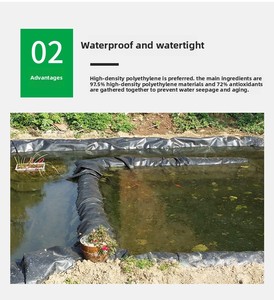 HDPE <span class=keywords><strong>geomembrane</strong></span> mịn cho ao lót đập lót cá trang trại - Product Image 3