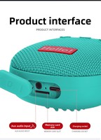Haut-parleur portable d'extérieur 5.3 TWS sans fil avec carte TF, batterie longue durée 1800mAh, étanche IPX5, mini haut-parleur, OEM disponible