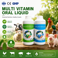 Solution orale multivitaminée pour poulets de chair : Additif alimentaire avicole pour une croissance rapide et un soutien immunitaire, alimentation pour l'engraissement des poulets