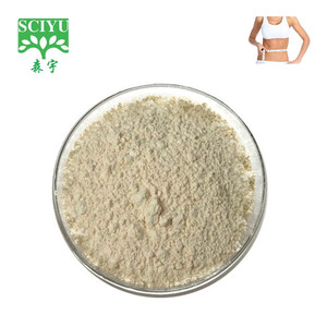 Garcinia Cambogia Kruidenextract Poeder 50% 60% HCA Power CAS 6205-14-7 - Product Image 4