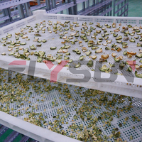 Industriële directe verkoop mesh-band droogmachine voor radijs, fruit, kiwi, rozijnen en kokosnoot
