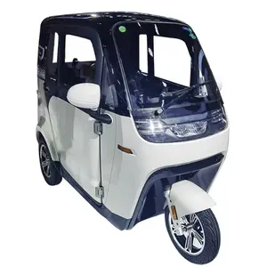 Competitive Price Three-wheel electric car Kabinenroller 1500w tricycles closed cabin tricycle