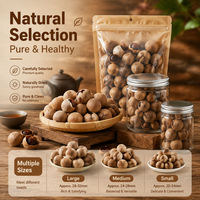 OEM Bulk Gedroogde Harde Longanvruchten Gehele Drakenoog Natuurlijke Zoete Kruidenthee Soep Ingrediënt Traditioneel Chinees 10kg