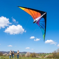 SUNEYE SEF17 Zhejiang Kite 2.4m Dual-Line Polyester Fabric Durable Stunt Sports Soaring Swallow Ready Fly Adults Freestyle 30m