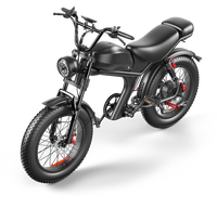Entrepôt EU/USA nouvelle batterie au lithium 1000W 48V adulte électrique montagne Sport e-bike gros pneu 20Ah batterie 7 vitesses freins à disque