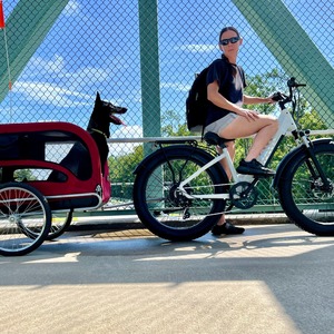 Vélo <span class=keywords><strong>électrique</strong></span> tout-terrain urbain multi-usages à pneus larges de 26 pouces 48V <span class=keywords><strong>pour</strong></span> adultes, vélo <span class=keywords><strong>électrique</strong></span> <span class=keywords><strong>pour</strong></span> femmes - Product Image 6