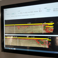 Machine de détection des défauts du bois à grande vitesse 120 m/min, optimisant la stratégie de tri, station d'inspection visuelle par IA