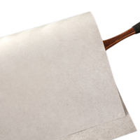 Papier de cuisson jetable antiadhésif, résistant à l'huile, de qualité alimentaire, biodégradable et écologique pour desserts et grillades