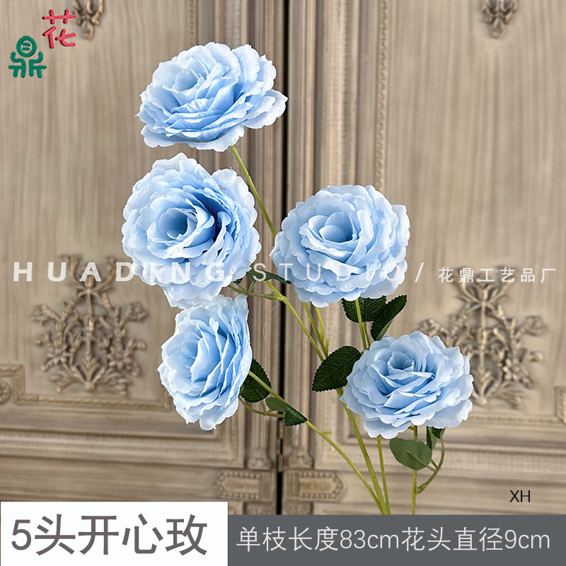กุหลาบสีฟ้า XH หัว 5 ดอก