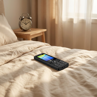 Teléfono Celular Simple con Botones, Doble SIM, Función Básica 2G, Venta al Por Mayor, Económico, Listo para Enviar