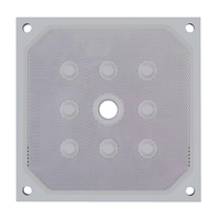 Nouvelles plaques de presse à filtre PVDF automatiques personnalisées pour machine de filtration, technologie de filtration haute pression améliorée