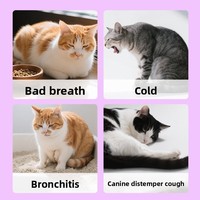 Complément alimentaire liquide pour animaux de compagnie, amélioration de l'immunité, vitamine liquide orale, OEM, anglais, composé multifonctionnel