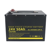 Paket Baterai LiFePO4 Terbaik Baru 24V 36V 48V 50Ah 60Ah 70Ah 80Ah 100Ah untuk Solar RV Marine Golf Carts Robot AGV