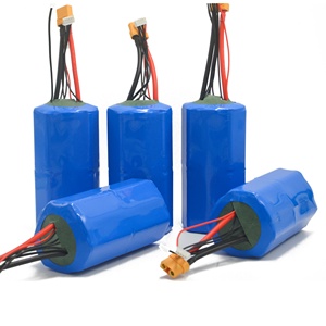 Batería 4s6p 14.8v 18Ah para <span class=keywords><strong>Vehículo</strong></span> <span class=keywords><strong>Submarino</strong></span> <span class=keywords><strong>No</strong></span> <span class=keywords><strong>Tripulado</strong></span> - Product Image 2
