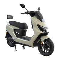 Moto électrique CKD SKD 12 pouces 1100/1300W, vitesse 60 km/h, couleur personnalisée, moto de course électrique pour adultes