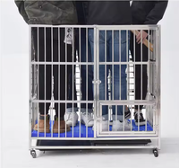 Cage pliable en acier inoxydable pour chien, équipement vétérinaire, cage en aluminium pour animaux, prix usine MT MEDICAL, livraison directe