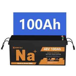 Batería de iones de sodio de 48 voltios en stock en la UE, paquete de baterías de celdas CATL de 48V 100Ah 10Kwh para sistema solar - Product Image 1