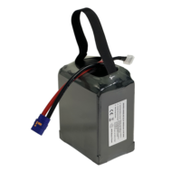 Batterie solide 420Wh/Kg 22.2V 6S 99000mAh Lipo pour EVTOL, drone industriel lourd, drone longue portée