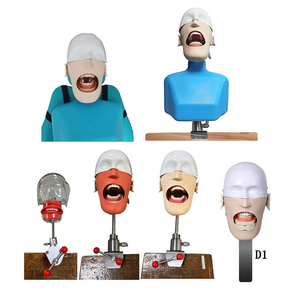 Production <span class=keywords><strong>professionnelle</strong></span> de simulateur dentaire de tête fantôme de mannequin de science médicale de haute qualité pour l'entraînement - Product Image 6