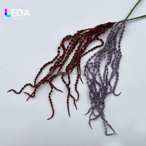 Flores Secas de Amaranto Naturales de Alta Calidad LEDA, Amaranto Colgante para Decoración del Hogar y Ramos de Boda - Product Image 5