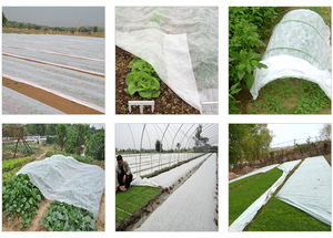 Landwirtschaft Vlies Polypropylen Material Für Pflanzen Abdeckung/Grün Haus Abdeckung - Product Image 4