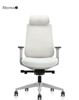 Mobilier classique Chaises et tables de bureau Chaise de travail Dexley Chaise de travail ergonomique pivotante en maille avec bras Double siège