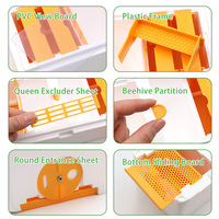 Nouvelle boîte d'accouplement double pour reines d'abeilles, en plastique, avec mousse pollinisatrice, outil de ruche pour l'élevage, mini ruche