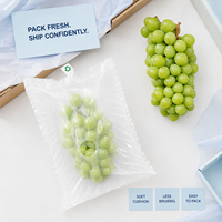Sac anti-dommages pour raisins, sans perforation, résistant aux chocs, manchon gonflable robuste entièrement gonflé pour la protection des fruits à l'exportation