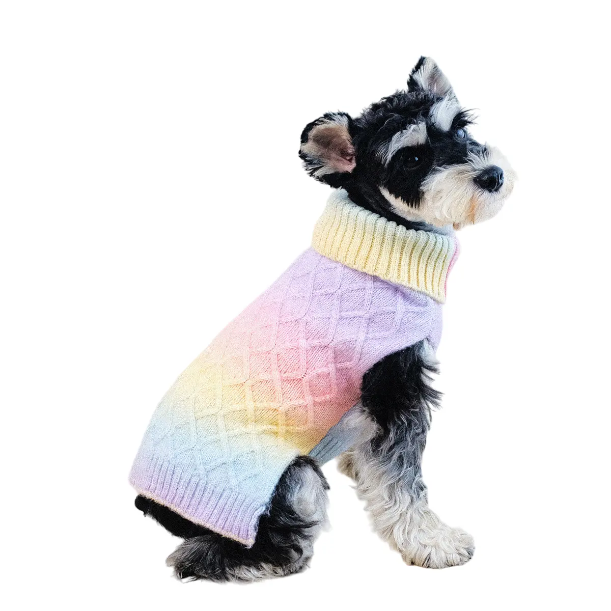 Nuevo diseño de ropa de invierno para mascotas, suéter simple de cuello alto con gradiente de arcoíris, suéter para gatos y perros