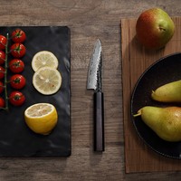 Paudin Classic 3.5 pouces couteaux à fruits japonais en acier damas cuisine couteau à éplucher Nature manche en bois d'ébène