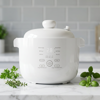 Cuiseur de nourriture complémentaire pour bébé avec bol intérieur en céramique de 1,2 litre