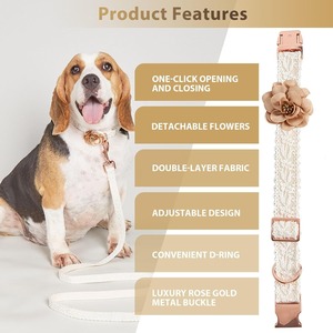 Conjunto de <span class=keywords><strong>Collar</strong></span> y Correa para Mascotas de Alta Gama, con Encaje Suave, Flores, Cierre Metálico, Ajustable, para Perros y Gatos, con Correa a Juego - Product Image 4