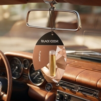 Désodorisant de voiture en forme de feuille, carte parfumée à suspendre aux huiles essentielles, parfum naturel longue durée pour éliminer les odeurs de voiture