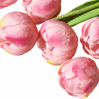 Bouquet de 3 tulipes artificielles en caoutchouc souple, fleurs au toucher réel, pour mariage, maison, vase, décoration d'hôtel