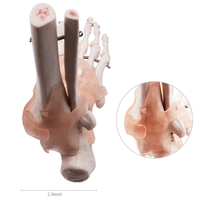 Modèle d'articulation du pied humain grandeur nature pour adulte, en PVC de haute qualité, matériel pédagogique pour la science médicale, fournitures pour les écoles d'infirmières