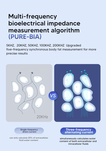 Balance connectée intelligente 180 kg haute précision pour analyse de la composition corporelle CP10B – Analyseur numérique de la composition corporelle - Product Image 2