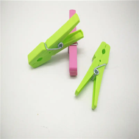 Pinces à linge en plastique robustes avec ressorts, colorées et portables, pour usage extérieur