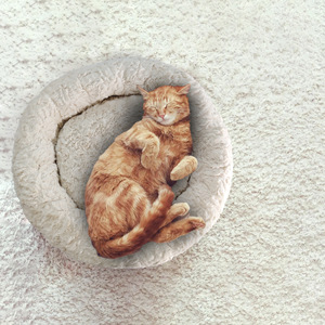 Stock Thickened <b>Cat</b> <b>Litter</b> Plush Round Pet <b>Litter</b> Winter Warm Pet Bed - Product Image 3