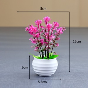 Mini plantes <span class=keywords><strong>en</strong></span> <span class=keywords><strong>pot</strong></span> MSH pour le salon, plante <span class=keywords><strong>en</strong></span> <span class=keywords><strong>pot</strong></span> d'<span class=keywords><strong>eucalyptus</strong></span> artificielle faite à la main - Product Image 4