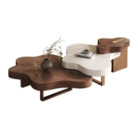 Table basse moderne pour salon, table basse italienne en bois créative de petite taille, table basse de salon luxueuse de forme irrégulière