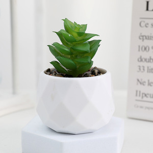 Plante succulente artificielle en pot carré ou rond, succulente réaliste, décoration de bureau créative et écologique, marque OEM, plante d'intérieur - Product Image 4