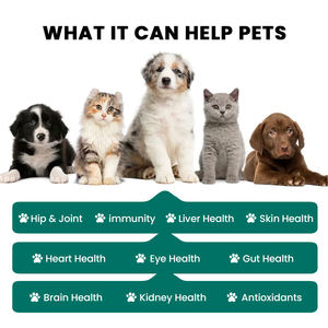 Nutrisi anjing & kucing Protein tinggi suplemen sendi kunyah lembut untuk dukungan kekebalan tubuh pereda nyeri sendi - Product Image 2