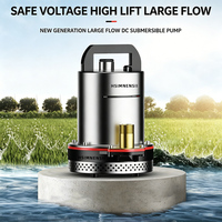 Pompa Submersible DC 24V 48V 72V Pompa Booster Listrik Mikro Irigasi Pertanian Pompa Air Sumur Dalam Rumah Tangga