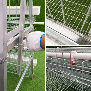 Cages à poules pondeuses de type A galvanisées à chaud, 4 niveaux, 4 portes, cages à poules pondeuses en batterie avec système d'abreuvement automatique - Product Image 4