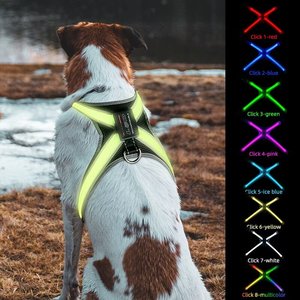 Pour CD1112 LED Light Friendly Cloth <span class=keywords><strong>Harnais</strong></span> pour <span class=keywords><strong>chien</strong></span> de taille moyenne Style sportif luxueux Comportement écologique Formation Agilité - Product Image 2