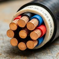 Câble d'alimentation VVGng LS standard GOST 0,6 1kV, conducteur en cuivre sans oxygène, résistant au feu, PVC IEC 60332-3-22, industriel
