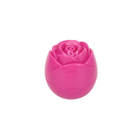 Rouge à lèvres créatif fruité avec baume à lèvres à la rose et aux herbes, hydratant longue durée, éclaircissant le teint, 5g, essence végétale naturelle