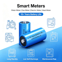 Batterie au chlorure de thionyle au lithium GMCELL en gros ER14335 1600mAh 3.6V pour compteurs intelligents, traceurs GPS, capteurs IoT industriels