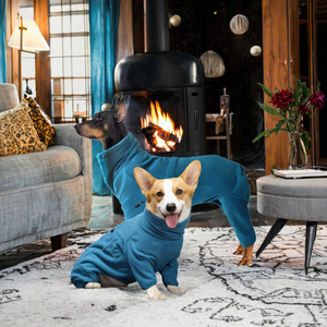 Veste d'hiver respirante en polyester pour chiens de petite/moyenne/grande taille, manteau pour Labrador - Product Image 2